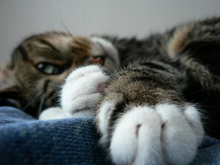 La vie n'est pas toujours agr�able...